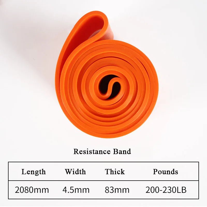 Sentinelle Alpha Ceinture élastique fitness maison multi - niveaux - Sentinelle Alpha